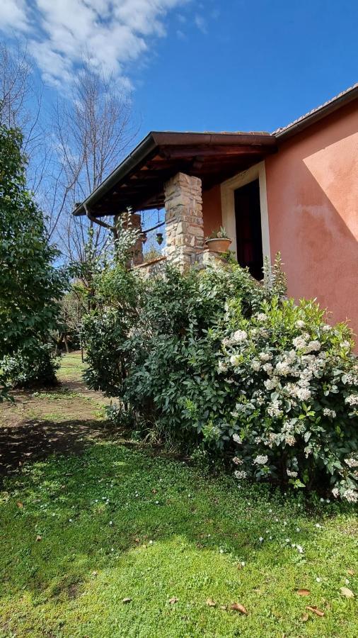 Rose Cottage Tuscany Fosdinovo Exterior foto